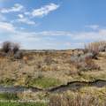 30 Guio-Budd Road - Photo 49