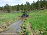 140 Cow Camp Road - Photo 101