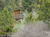 140 Cow Camp Road - Photo 103