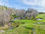 140 Cow Camp Road - Photo 39