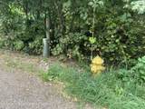 LOT 4 Pine Street - Photo 9