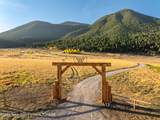 3550 Twin Creek Ranch Road - Photo 2