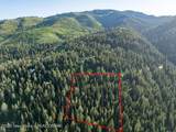 6620 Lupine Trail - Photo 8