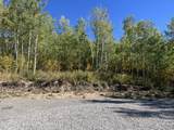  The Aspens At Clark Ln Lot 33 - Photo 3