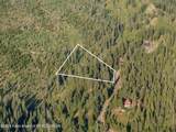 6880 Lupine Trail - Photo 7
