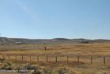 14 Cottonwood Ryegrass - Photo 5