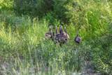 3200 3200 - Photo 8