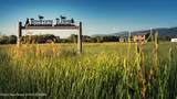 6531 Wild Mustang Trail - Photo 4