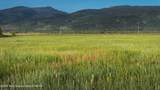 6531 Wild Mustang Trail - Photo 5