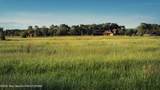 6531 Wild Mustang Trail - Photo 6
