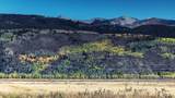 6531 Wild Mustang Trail - Photo 8