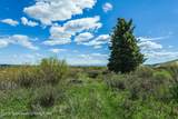  Cottonwood-Merna 23-116 - Photo 19