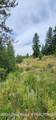LOT 59 B4 Cutthroat Run - Photo 4