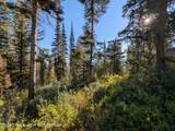 6765 Lupine Trail - Photo 10