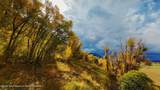 70 ACRES Twin Cliffs Road - Photo 31