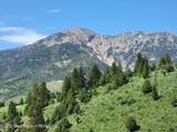 1480 Cutthroat Run - Photo 59