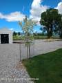 170 Young Lane - Photo 5