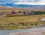 24700 Cottonwood Creek Road - Photo 6