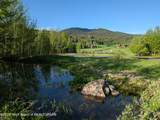 10 Riparian Drive - Photo 10