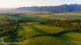 40 ACRES Robinson Lane - Photo 1