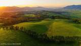 40 ACRES Robinson Lane - Photo 3
