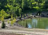 800 Dell Creek - Photo 42