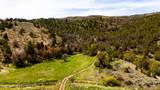  Fish Creek Road Road - Photo 7