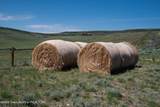 627 Ryegrass Road - Photo 69