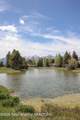700 Sagebrush Drive - Photo 49