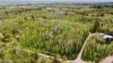 TBD Porcupine Parkway - Photo 3