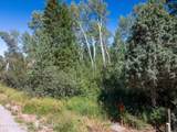 LOT 5 North Forest Dr - Photo 2