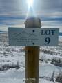 LOT 9 Dick Casull Loop - Photo 19