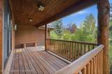 725 Palomino Drive - Photo 6