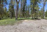 455 Buck Mountain Road - Photo 19