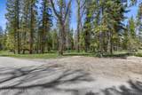 455 Buck Mountain Road - Photo 20