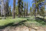 455 Buck Mountain Road - Photo 23