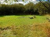 861 Highway 33 - Photo 11