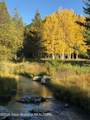 2800 Phlox Road - Photo 32