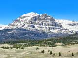  Ramshorn Ranch Road - Photo 2
