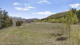 1225 Munger Mountain Road - Photo 11