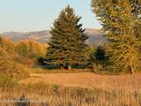 54 Warm Creek Lane - Photo 13