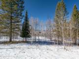 LOT 60 Forest Drive - Photo 11