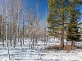 LOT 60 Forest Drive - Photo 9