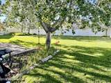 173 Talli Lane - Photo 44