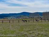 214 Equestrian Way - Photo 14