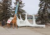461 Pine Street - Photo 22