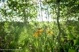 TRACT 4 Aspen Ridge Road - Photo 3