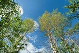 TRACT 4 Aspen Ridge Road - Photo 4