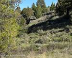 59 B4 Cutthroat Run - Photo 1