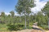 90 Elk Drive - Photo 38